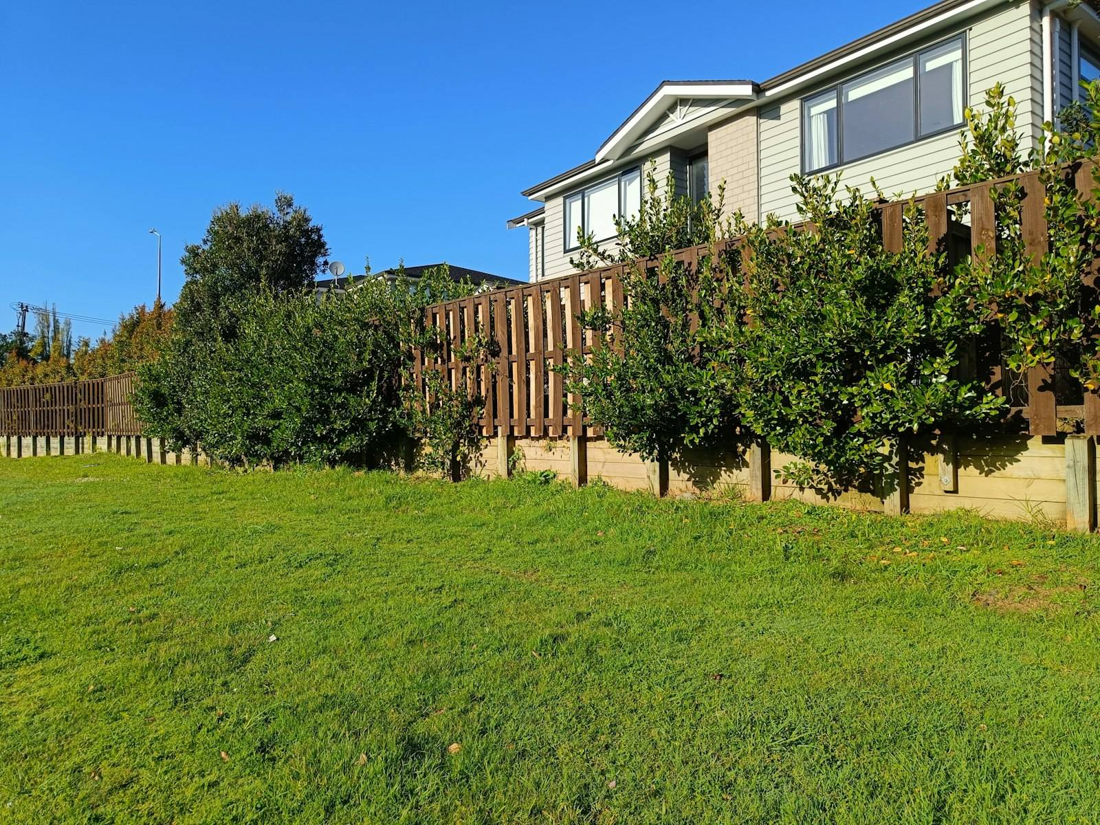 A modern light-toned house with a hedge-lined fence in Auckland