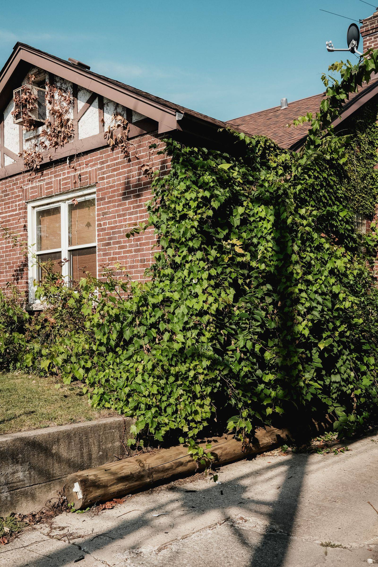 An ivy-covered brick house with a visible gutter along the roofline in Chicago