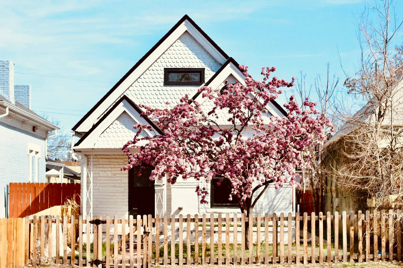 A white Victorian cottage with a blooming crabapple tree in Denver