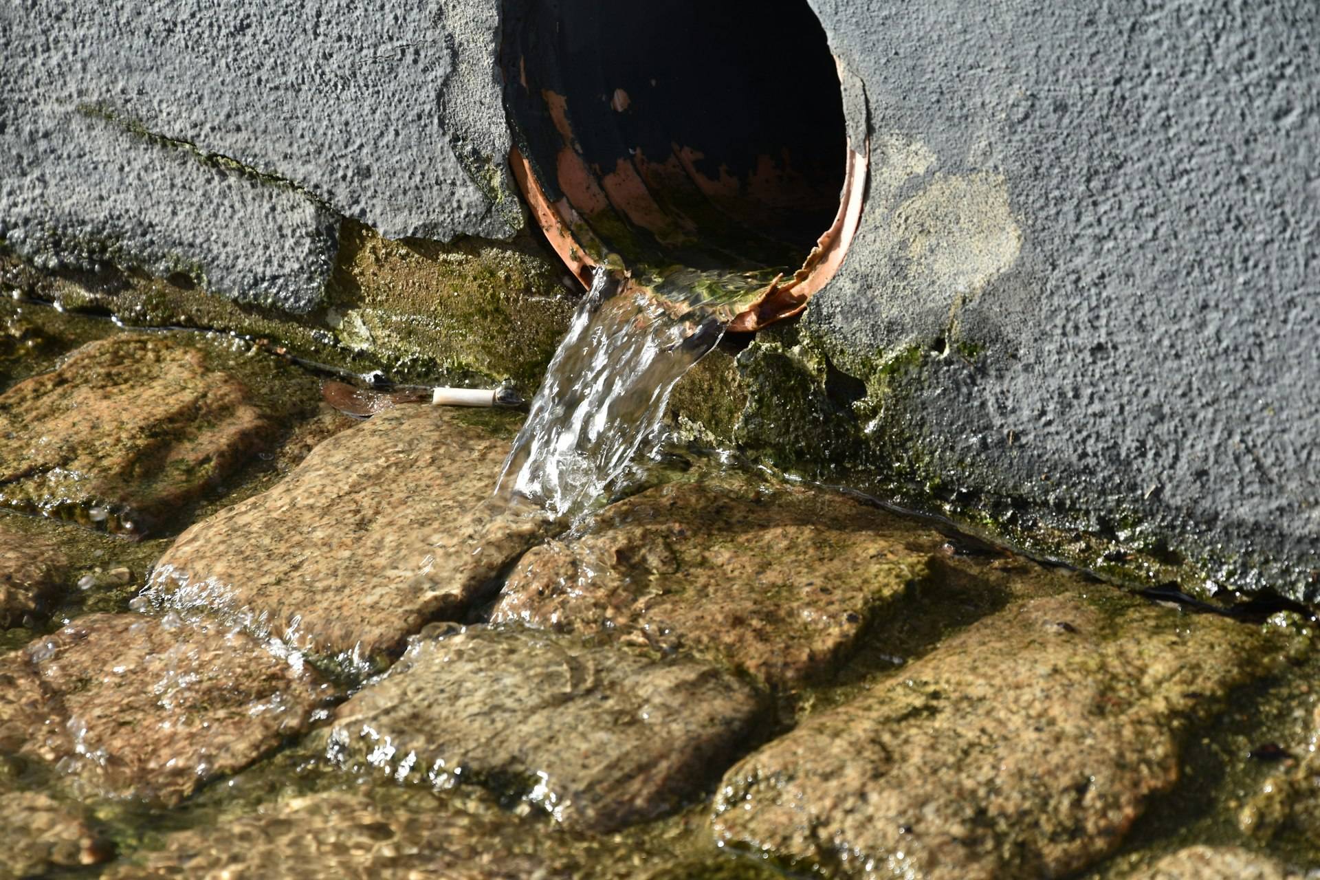 A pipe discharging water directly onto a mossy stone path beside a wall