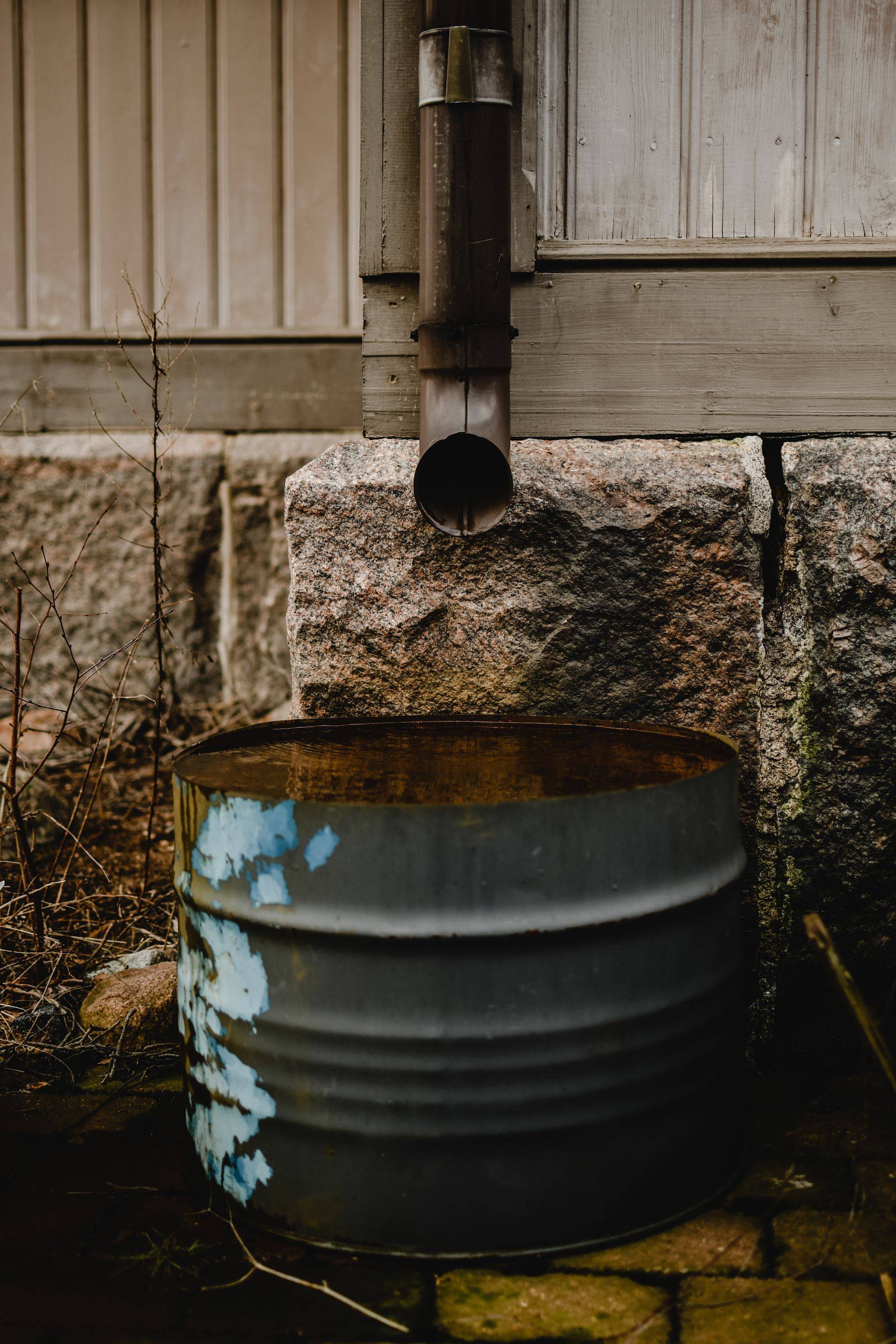 A downspout outlet draining into a rain barrel beside a house
