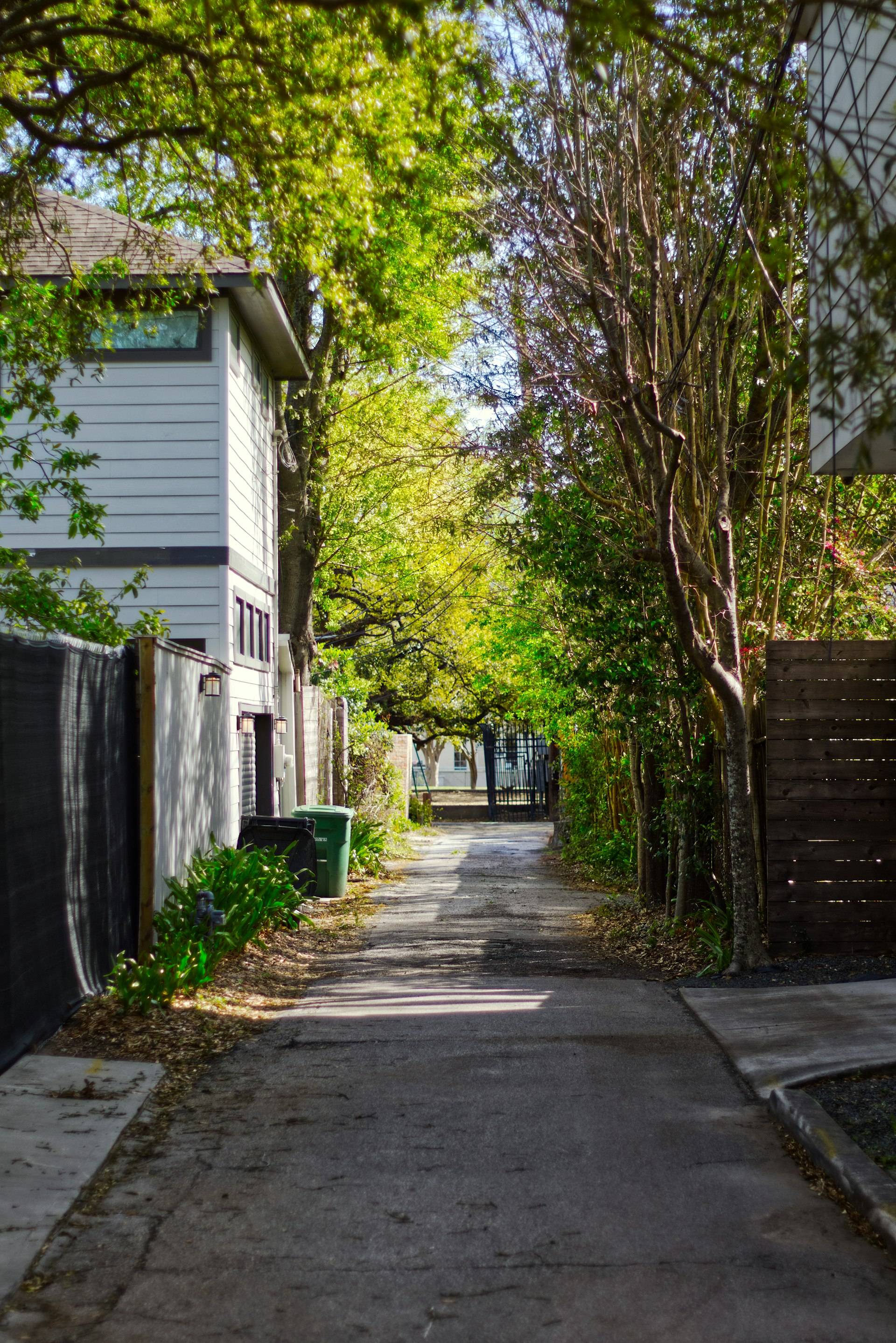 A tree-shaded residential alley between houses in Houston