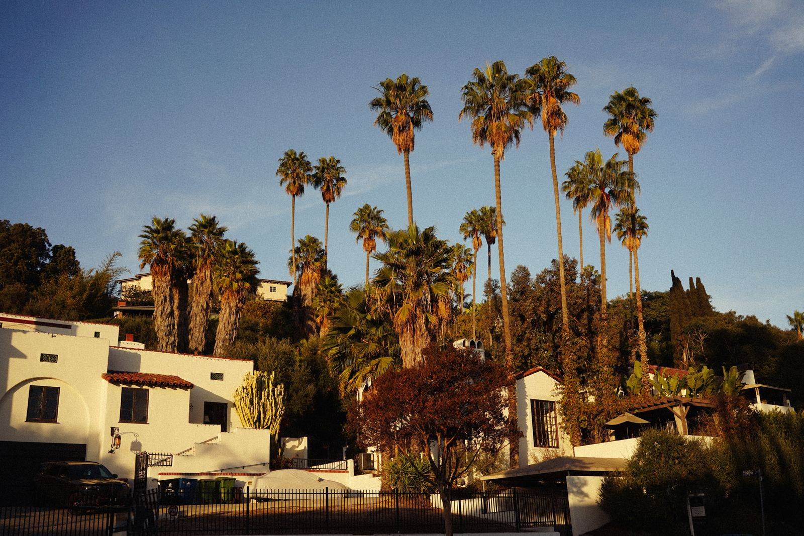 White Spanish-style houses on a Los Angeles hillside surrounded by tall palm trees at golden hour