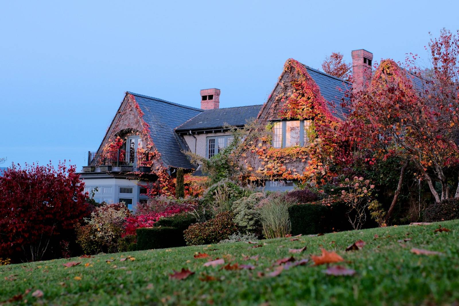 A Tudor-style house covered in red autumn ivy at dusk in Vancouver