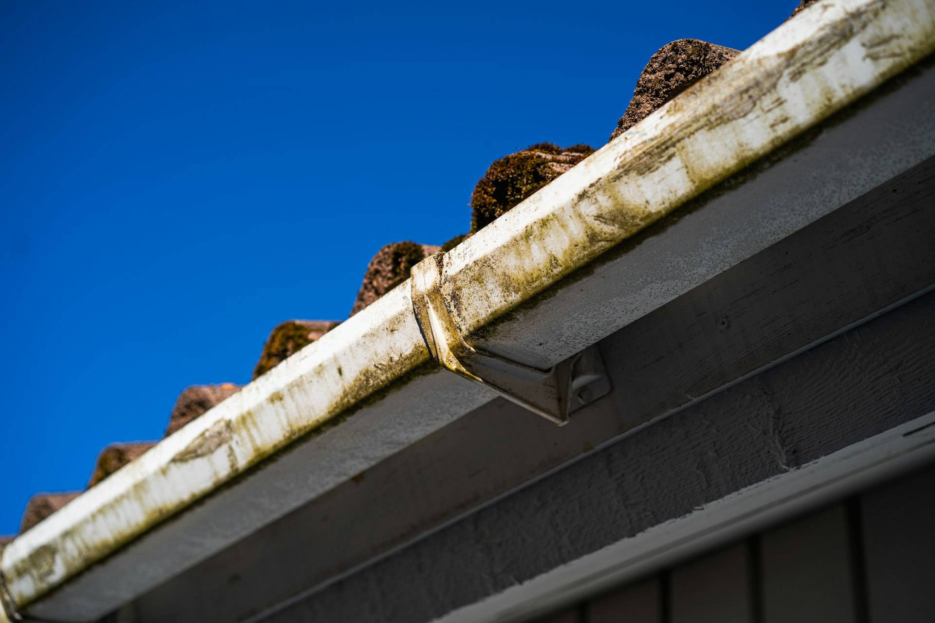 A weathered, algae-streaked gutter corner along a roofline