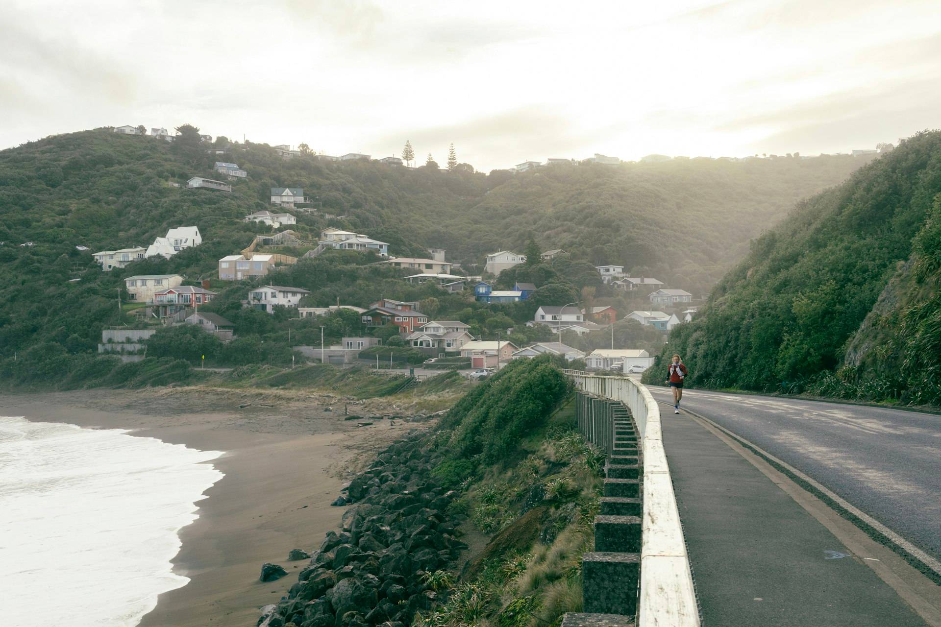 Houses climbing a green hillside above a Wellington coastal road